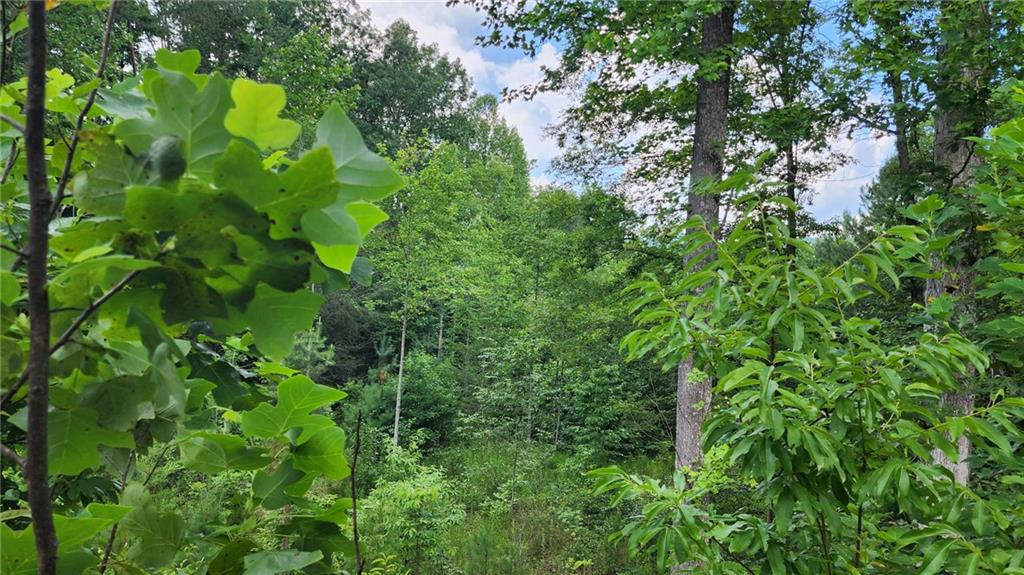 0 MOUNTAIN GLEN Court
