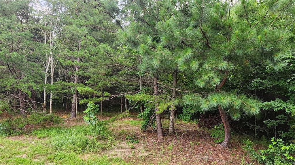 0 MOUNTAIN GLEN Court