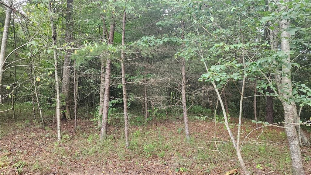 0 MOUNTAIN GLEN Court