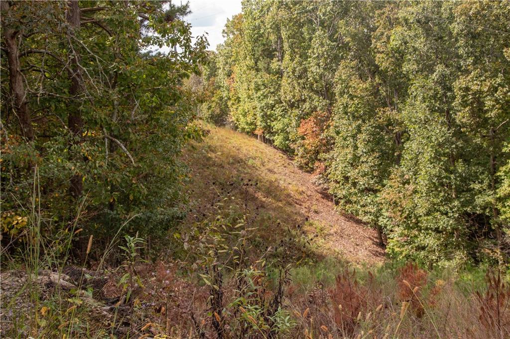 3831 Skyline Drive