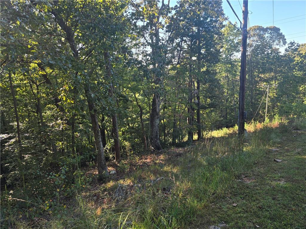 3831 Skyline Drive