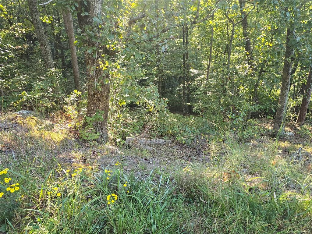 3831 Skyline Drive