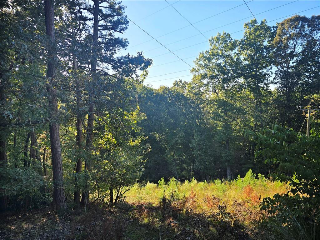 3831 Skyline Drive