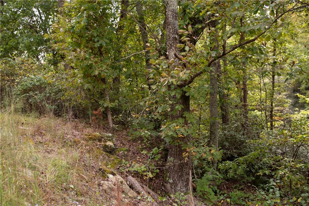 3831 Skyline Drive