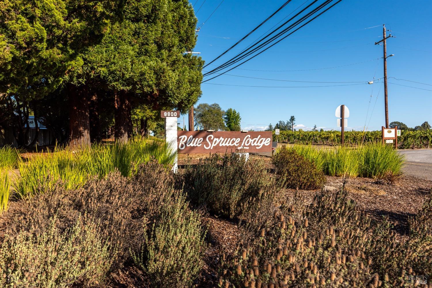 8800 Green Valley Rd #14