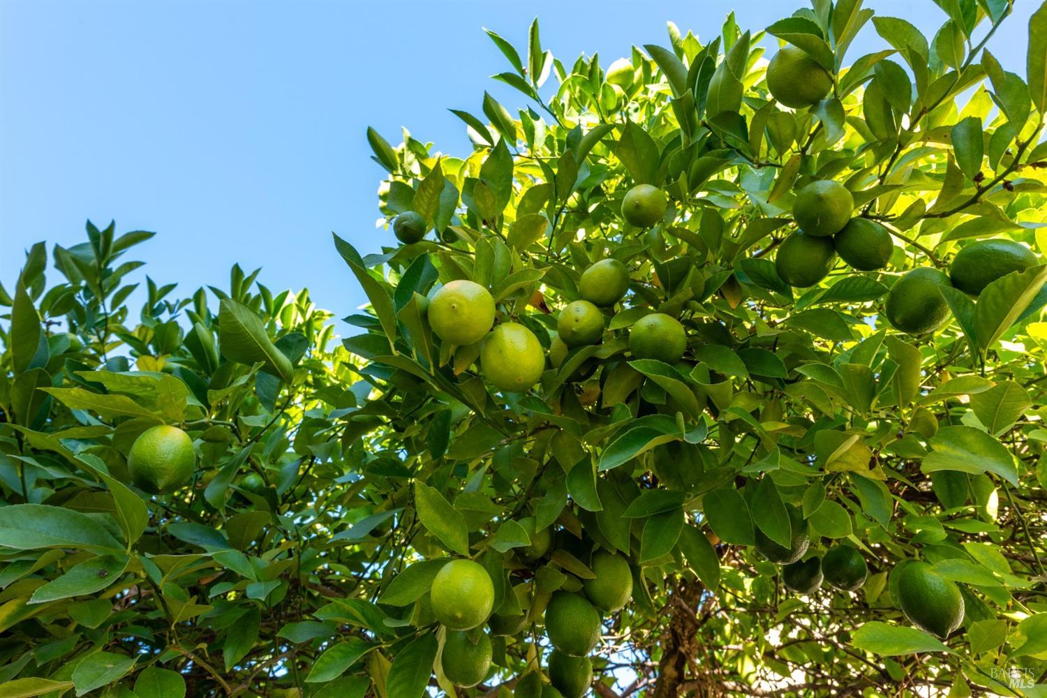 8800 Green Valley Rd #14