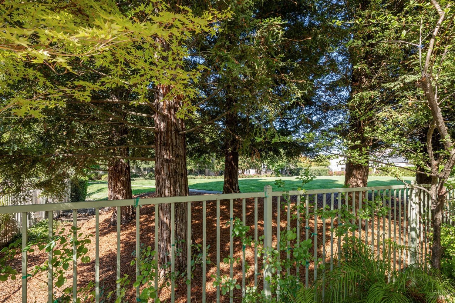 1881 Falcon Ridge Dr