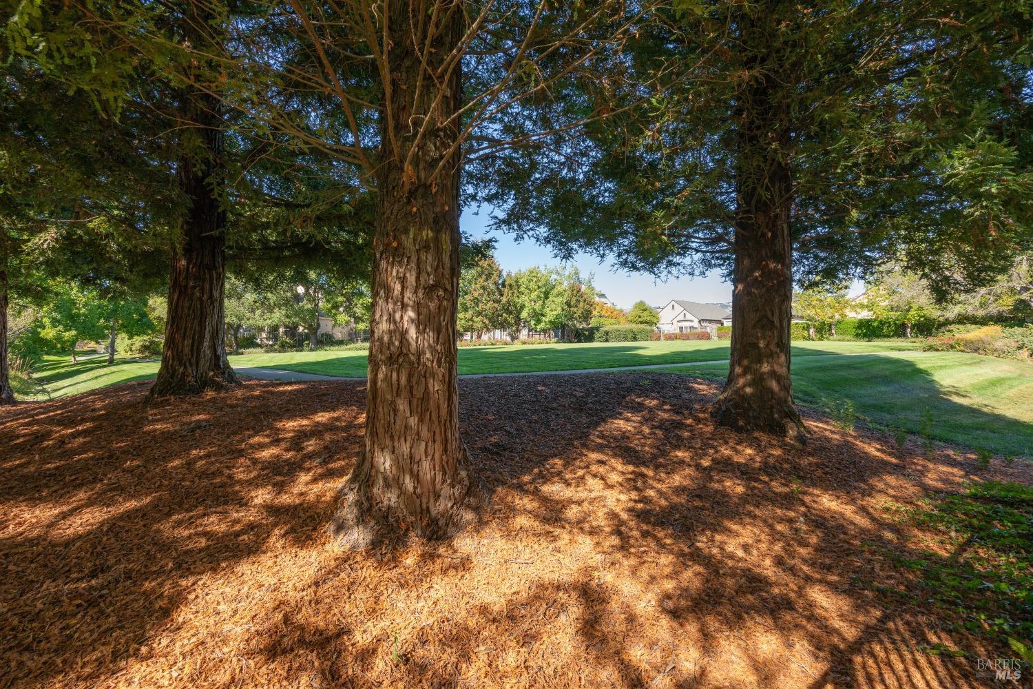 1881 Falcon Ridge Dr