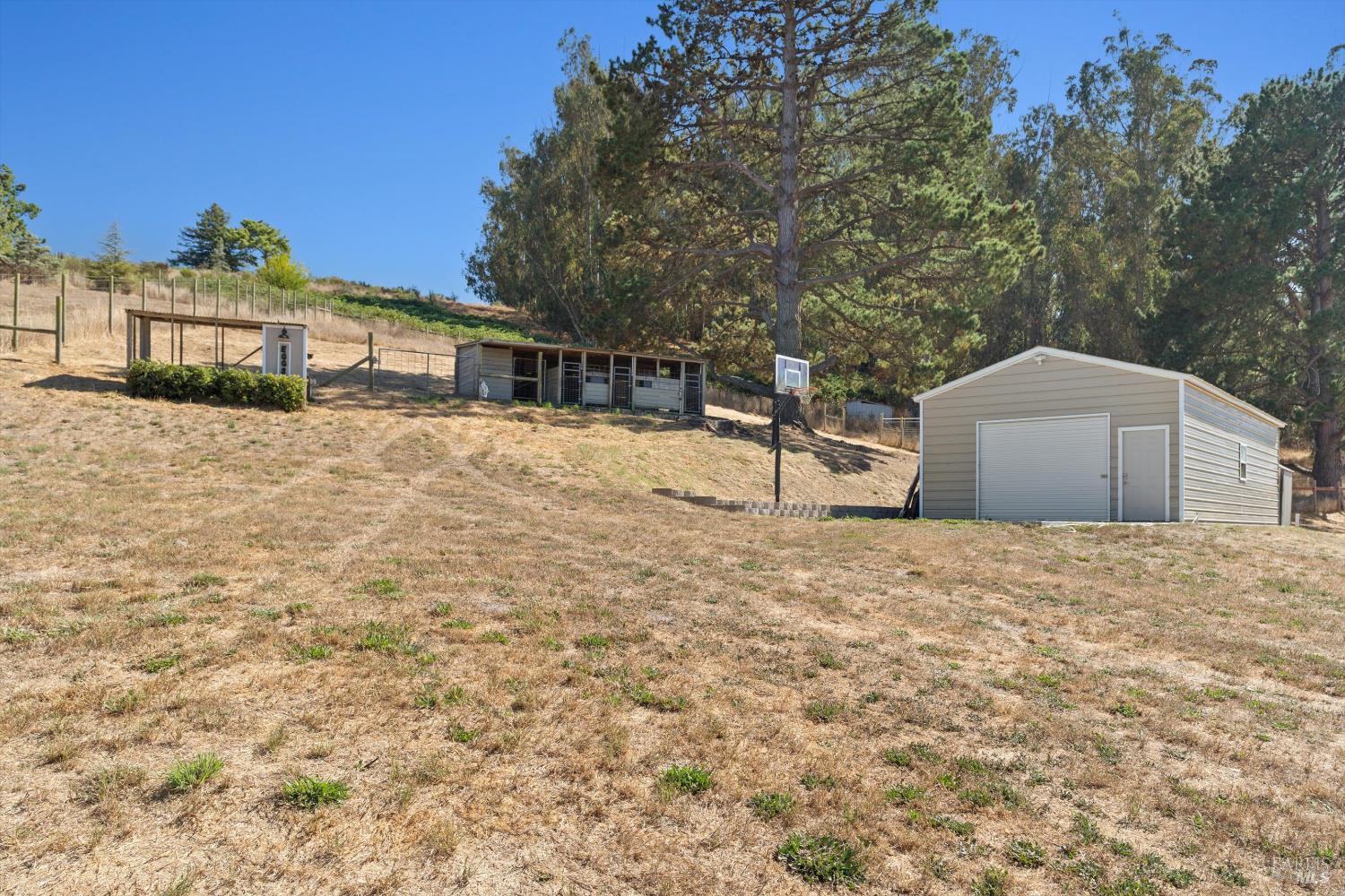 5959 Bodega Ave