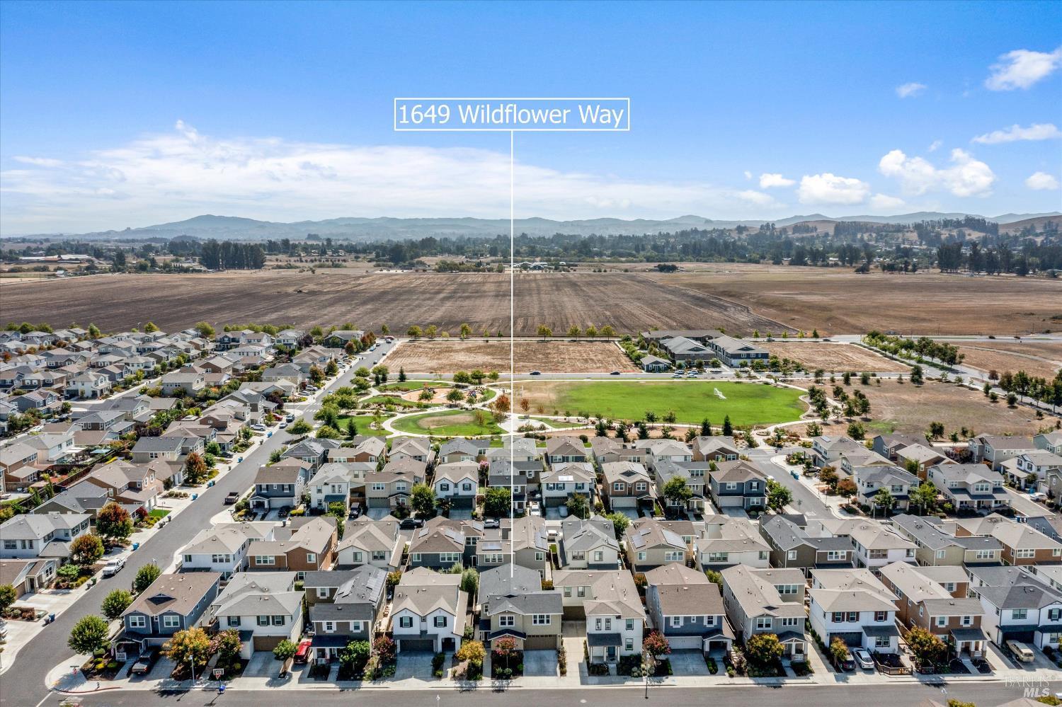 1649 Wildflower Way