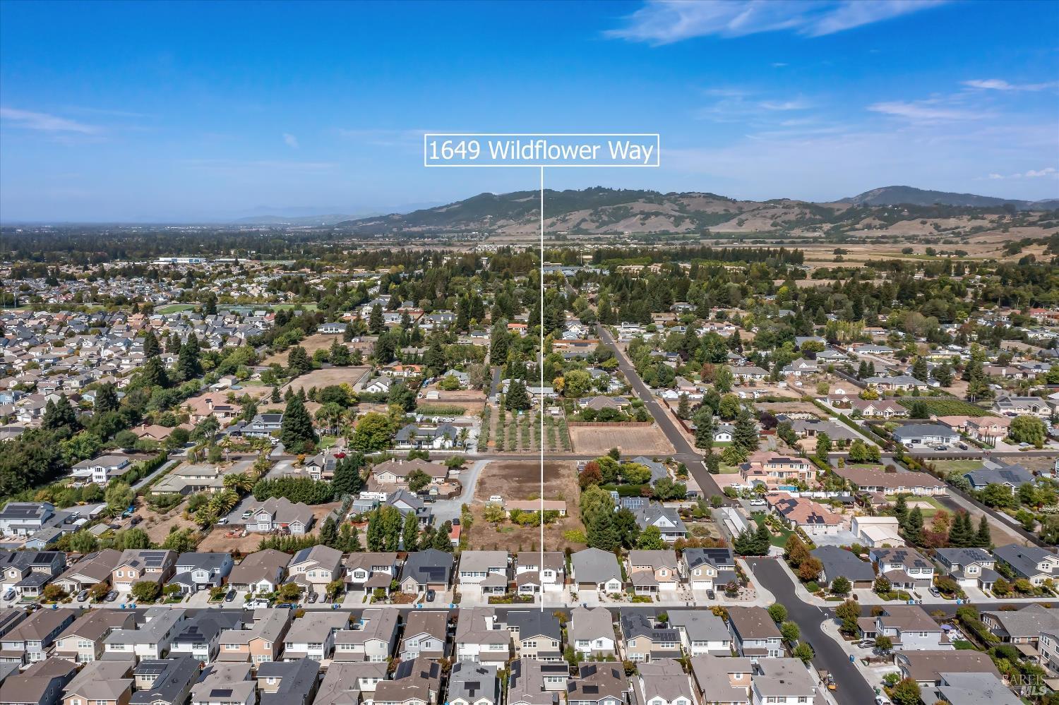 1649 Wildflower Way