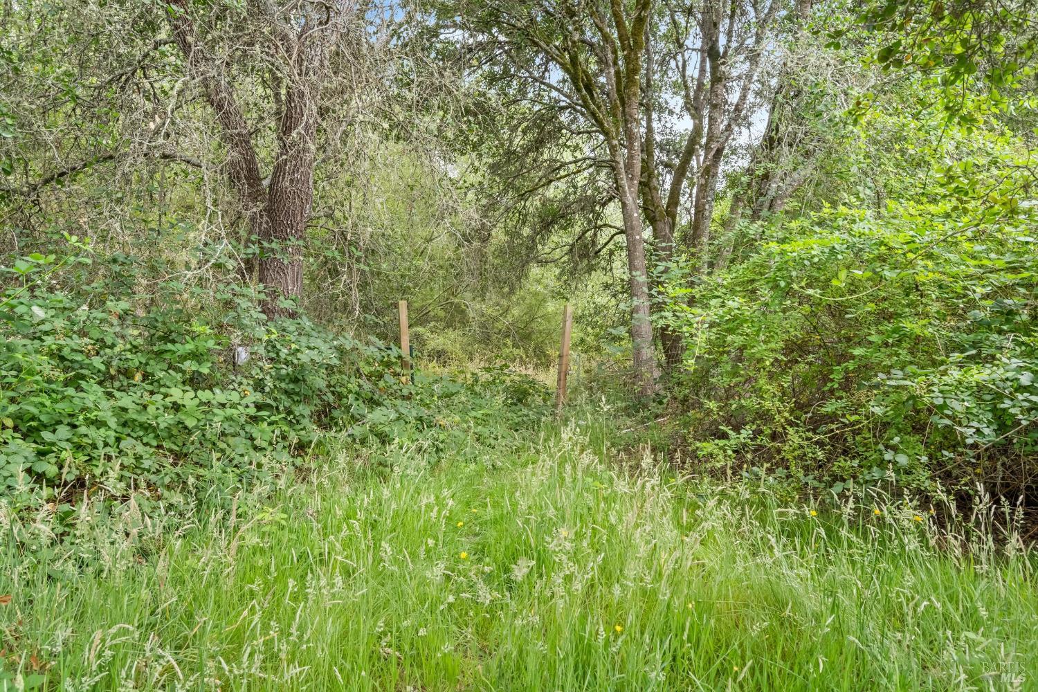 8157 Mill Station Road