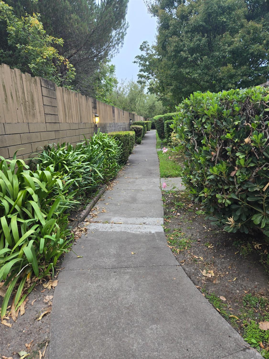 223 Lincoln Avenue