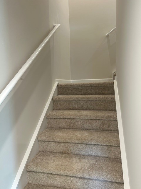 Carpeted staircase with white handrails and light-colored walls.