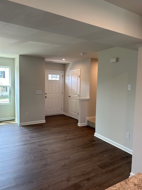 Vacant entry and living area with dark wood-look flooring and a front door with a small window.