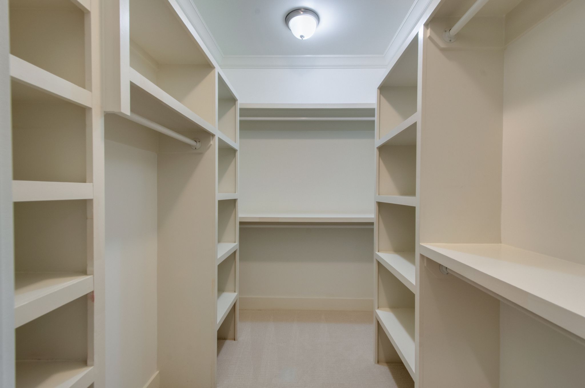 Walk-in closet with built-in shelving, hanging rods, and carpeted flooring.