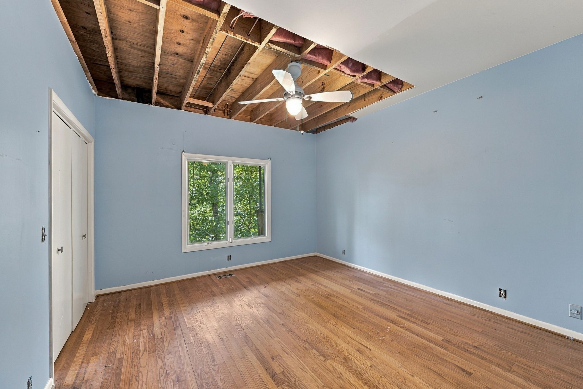 Empty blue-walled room with hardwood floors, a window, and exposed ceiling joists.