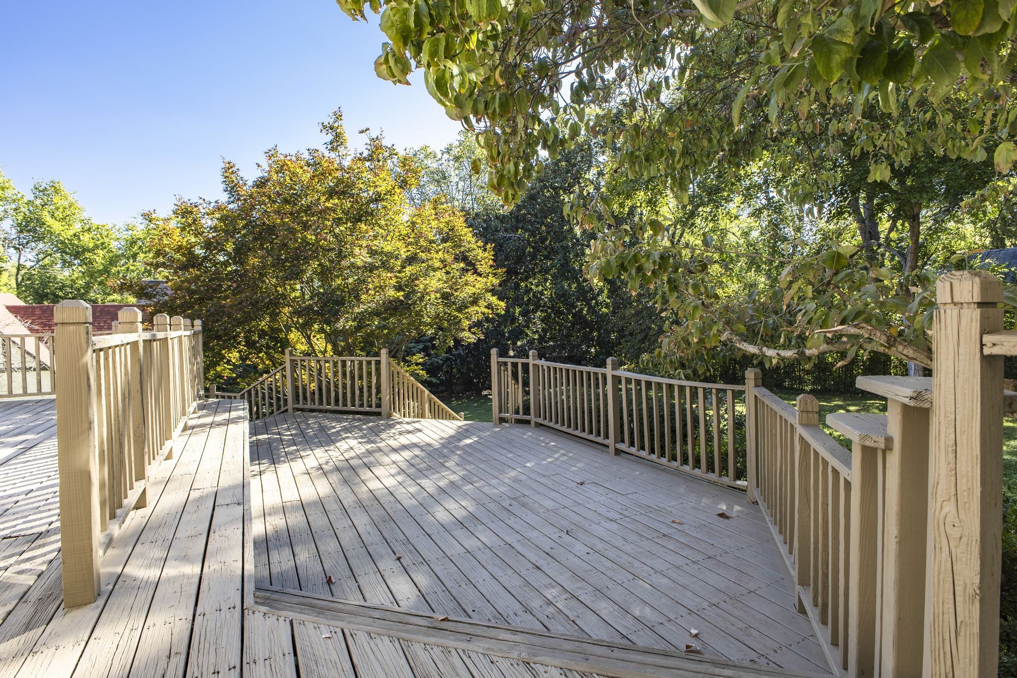 Wooden deck with railings and steps beneath mature trees.