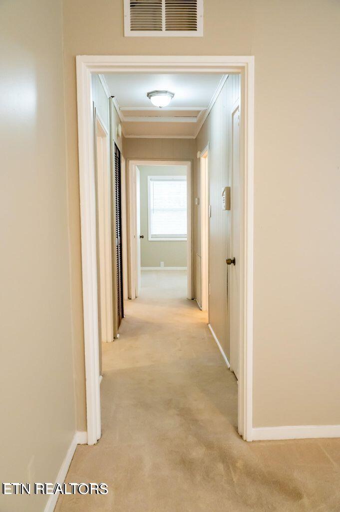 113 Albany Rd