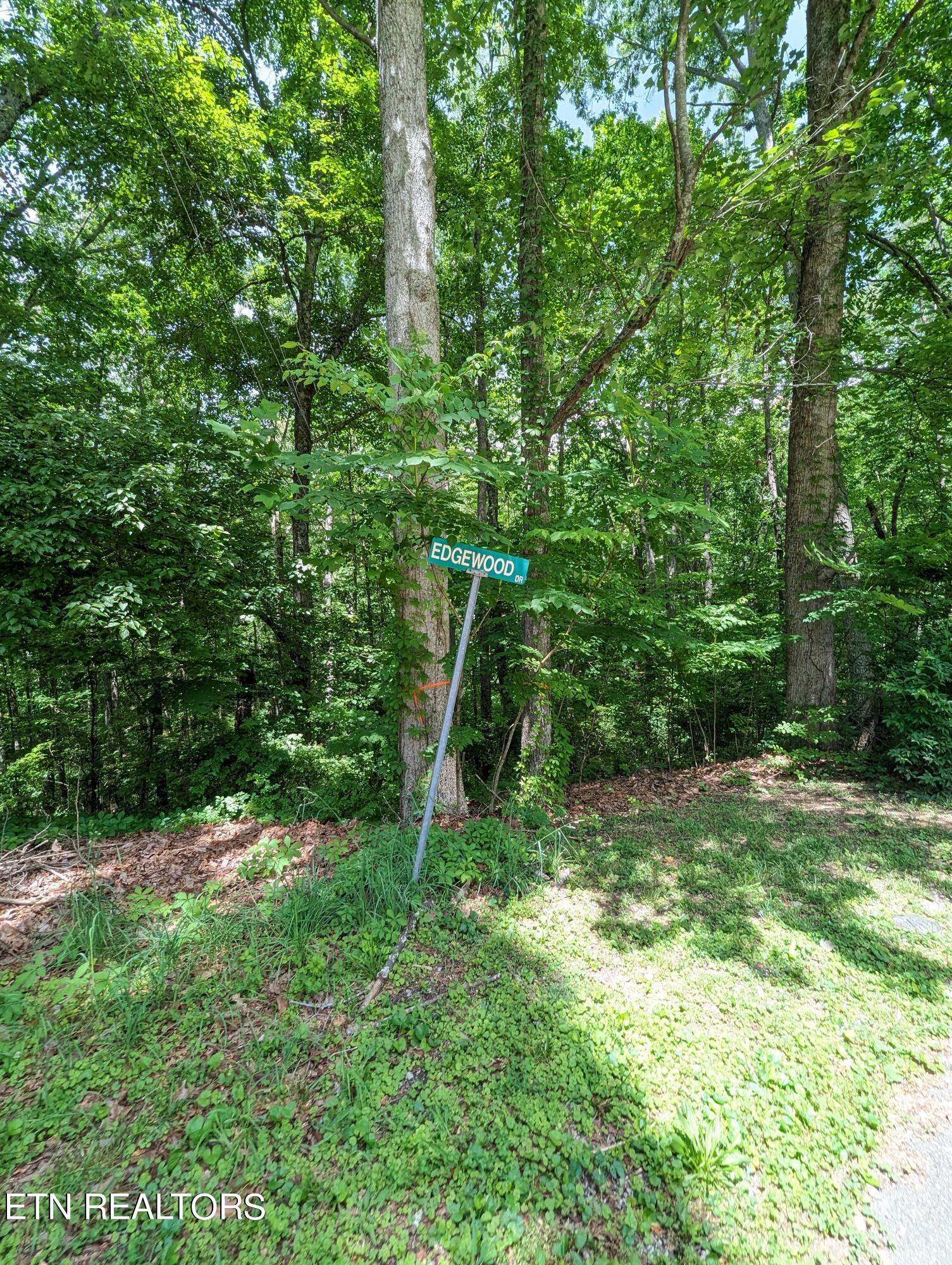 Edgewood Heights Lane