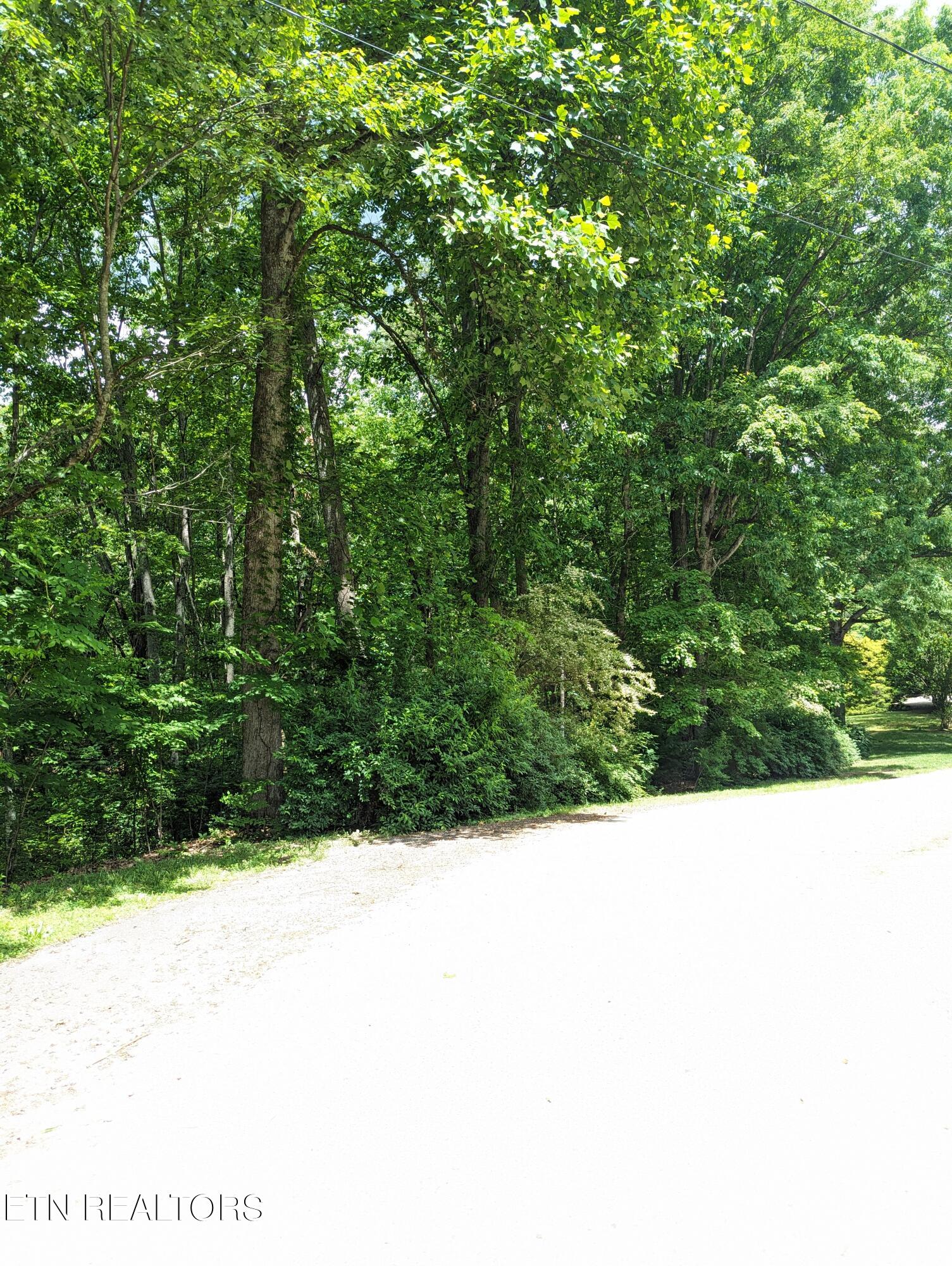 Edgewood Heights Lane