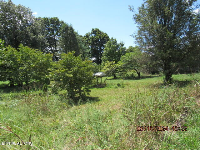 480 Russell Hill Road - Off Rd
