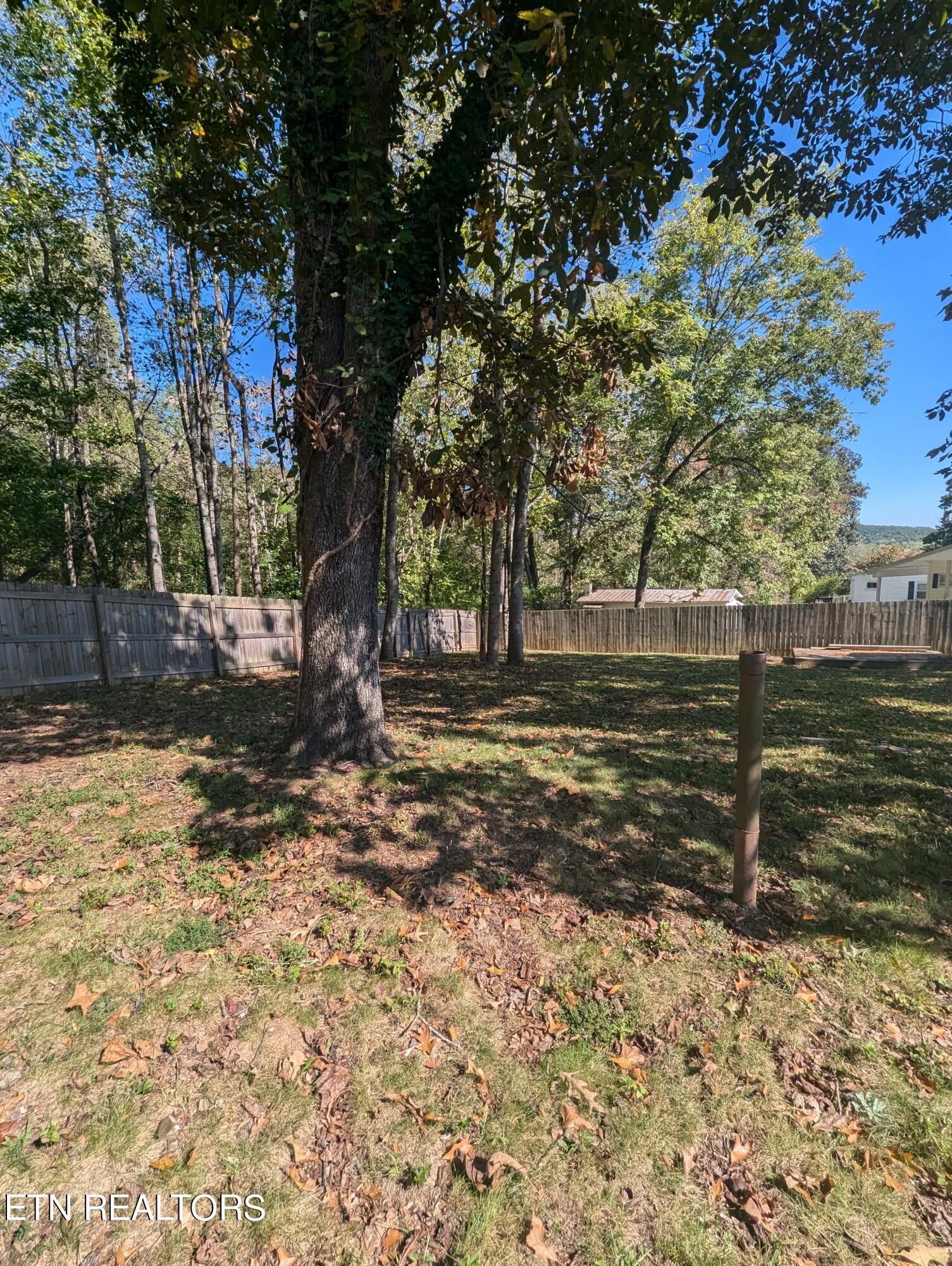 350 Jefferson Ave