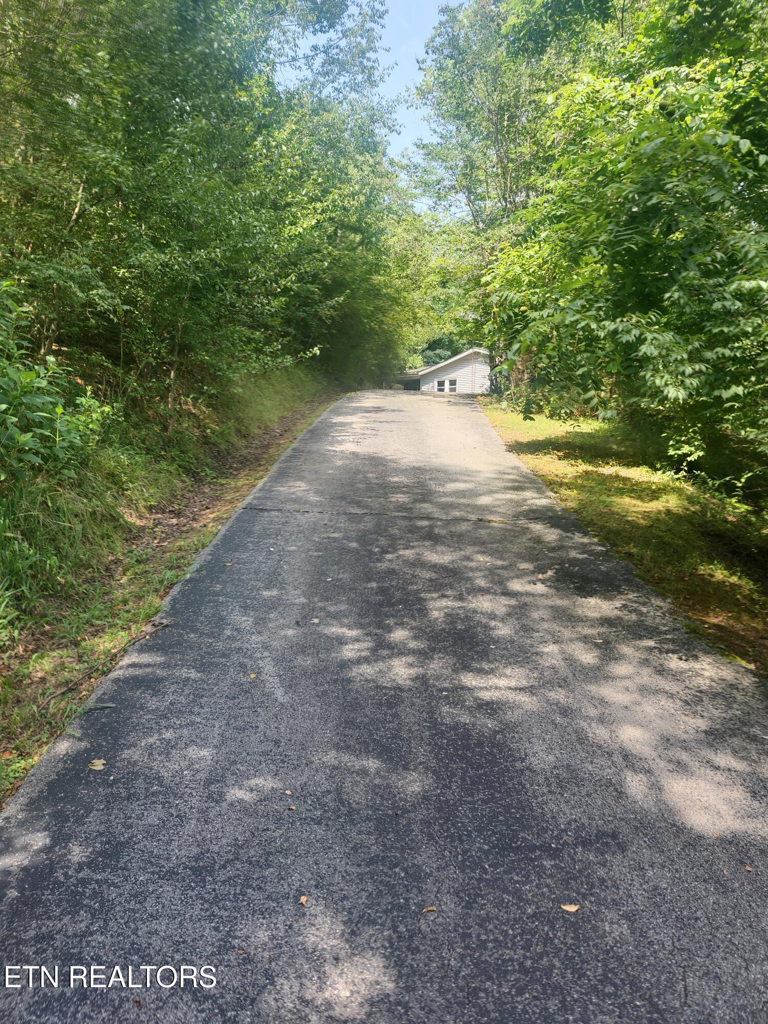 1954 Bluff Rd
