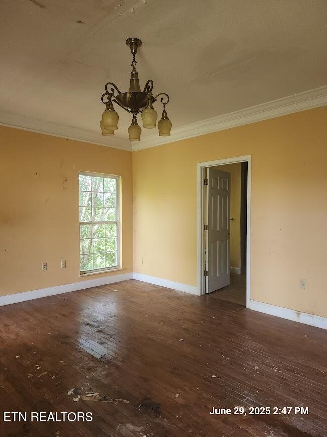 1016 Lillie Drive