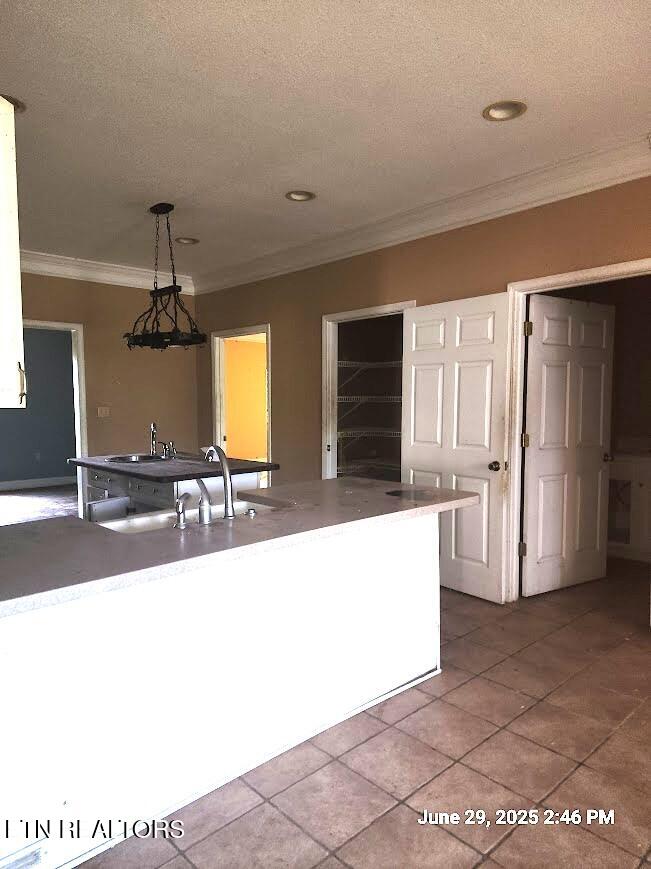 1016 Lillie Drive