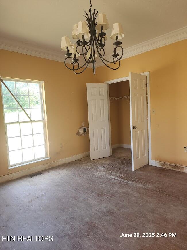 1016 Lillie Drive