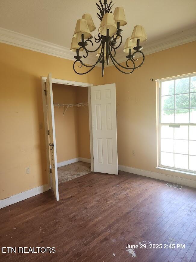 1016 Lillie Drive
