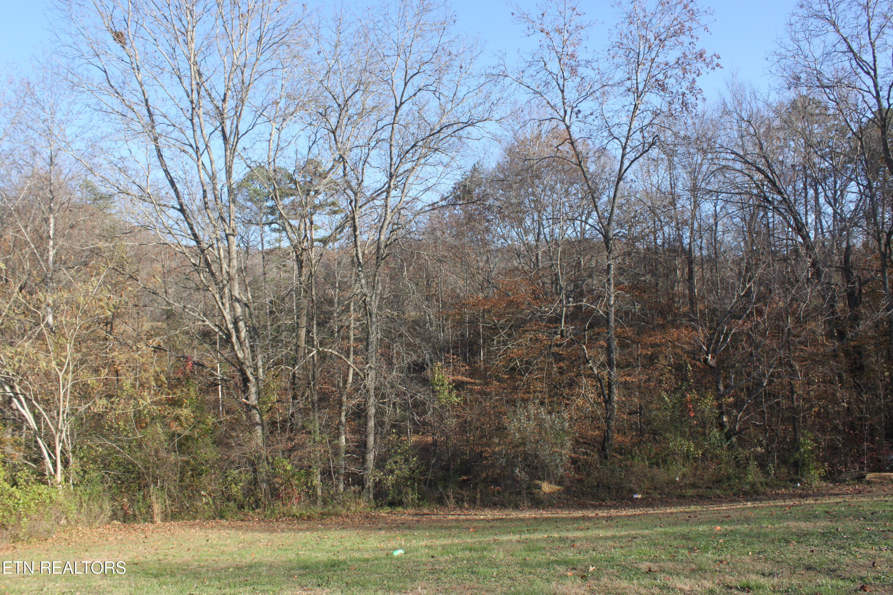133 Peach Lane