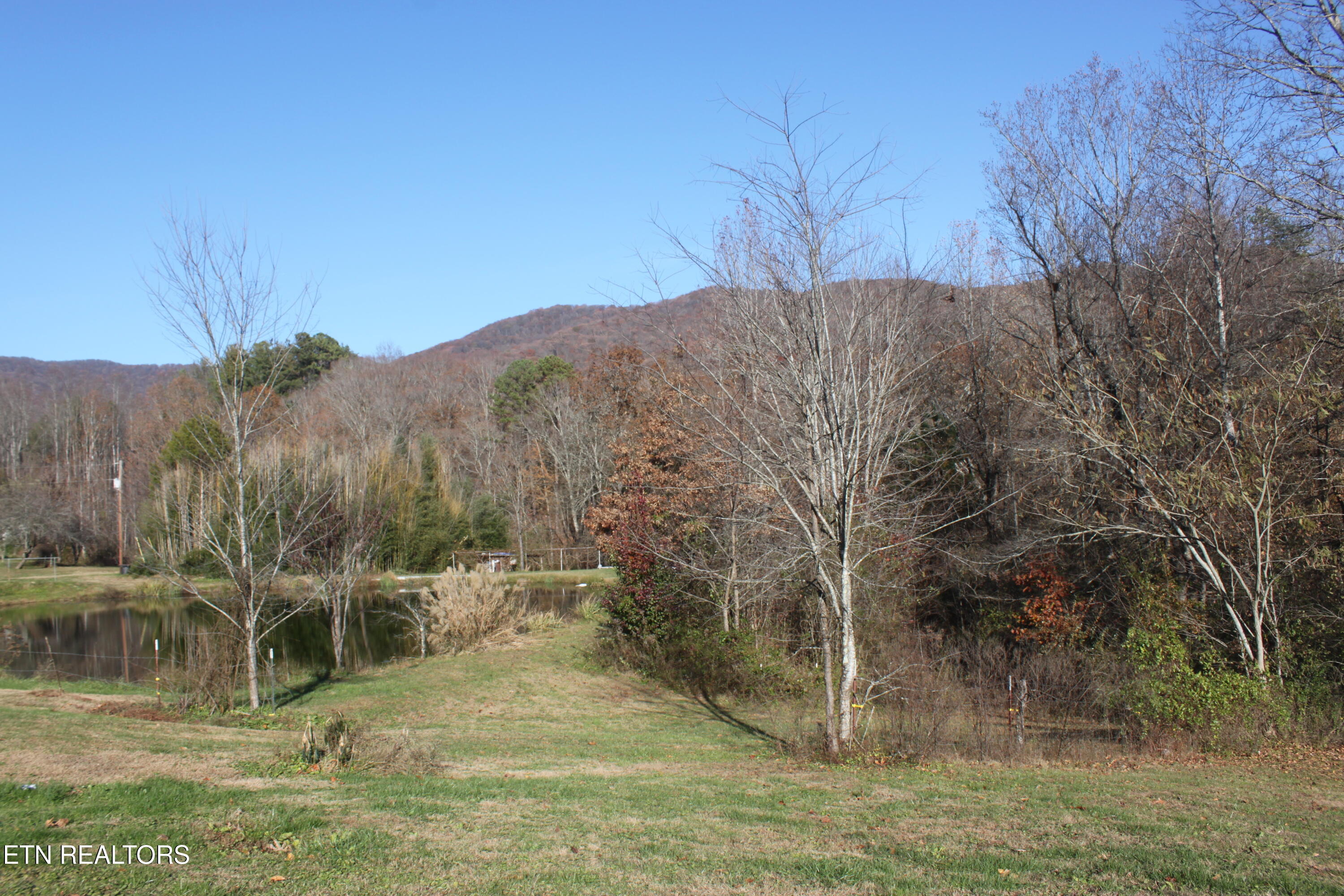 133 Peach Lane