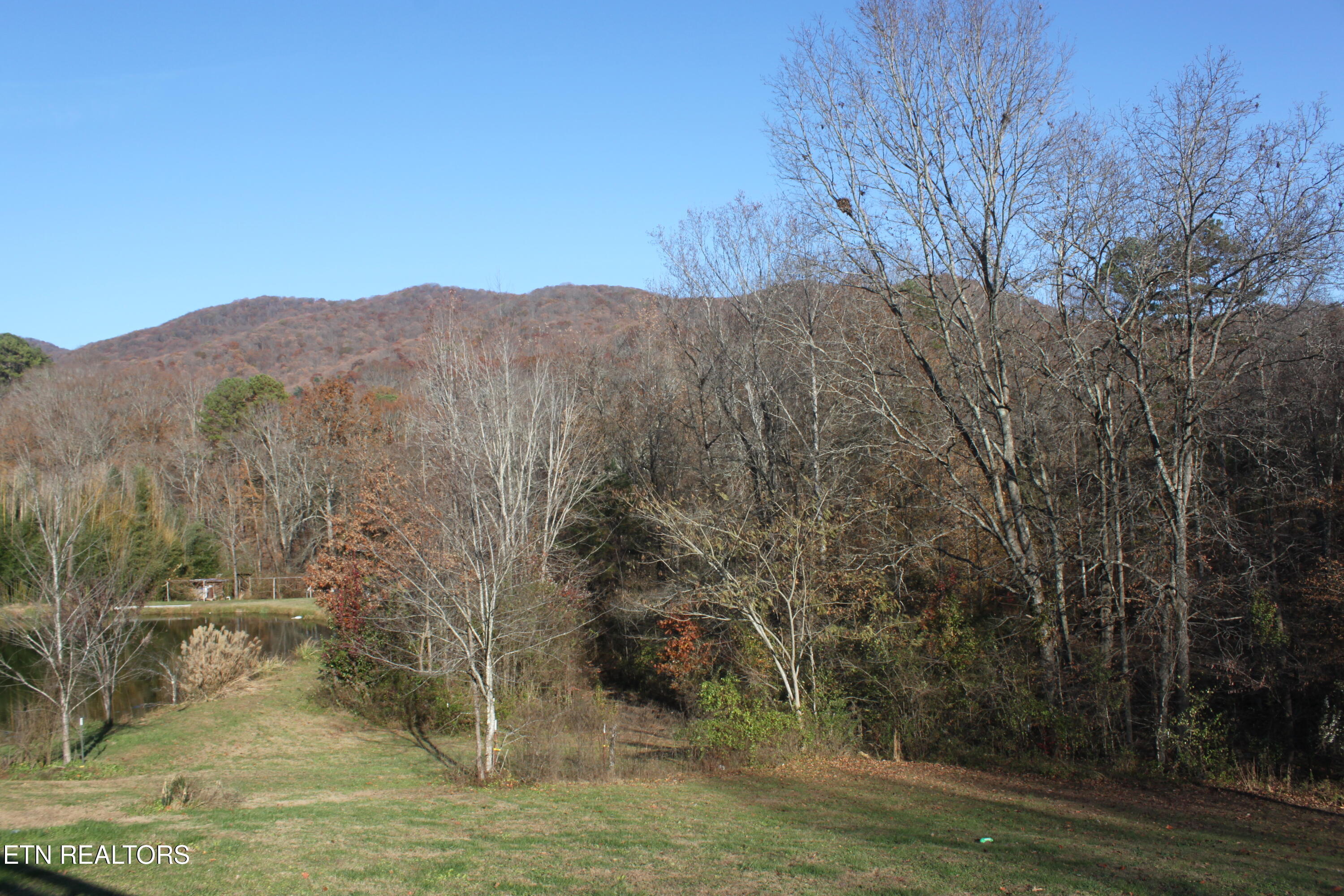 133 Peach Lane