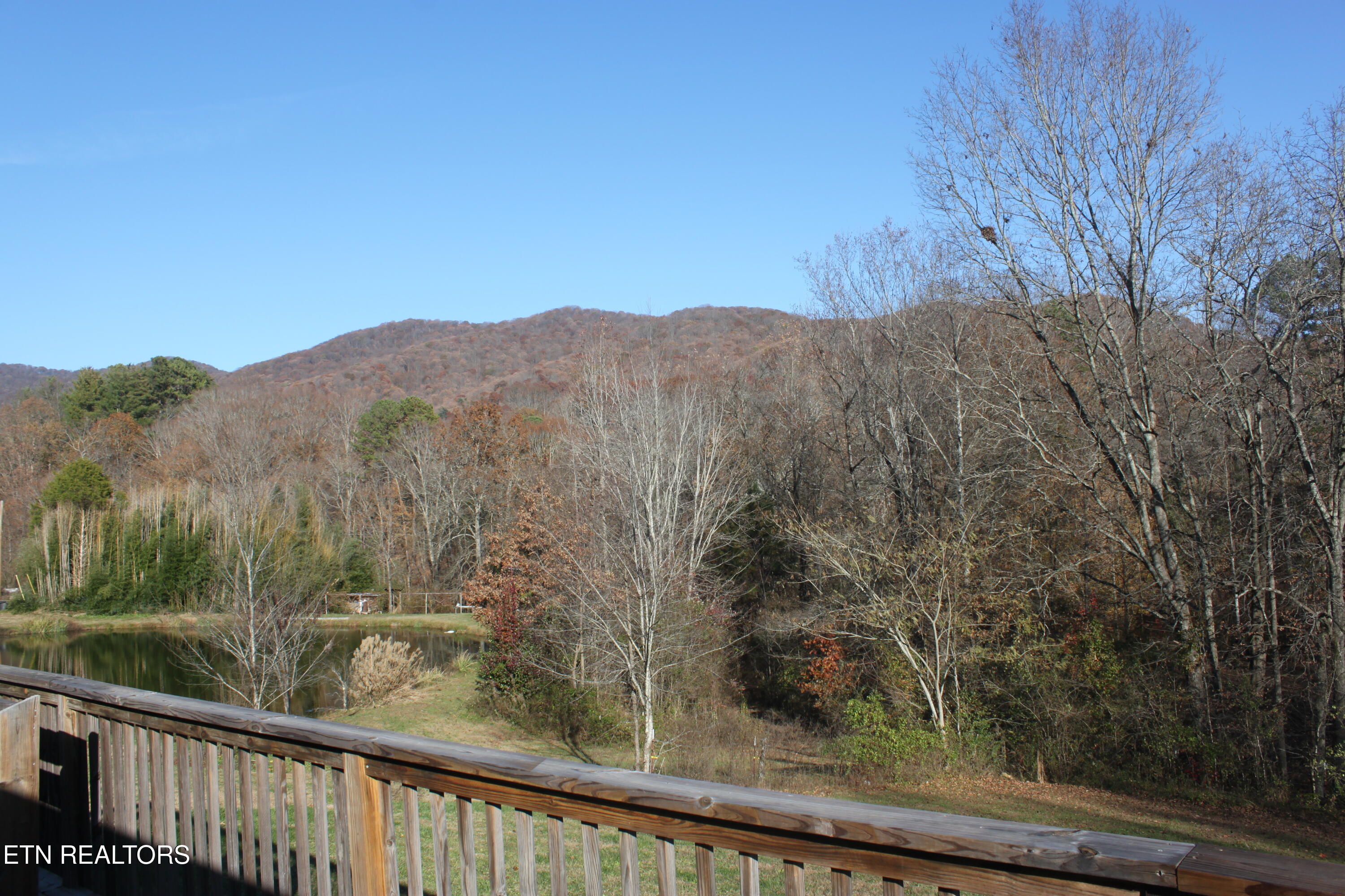 133 Peach Lane