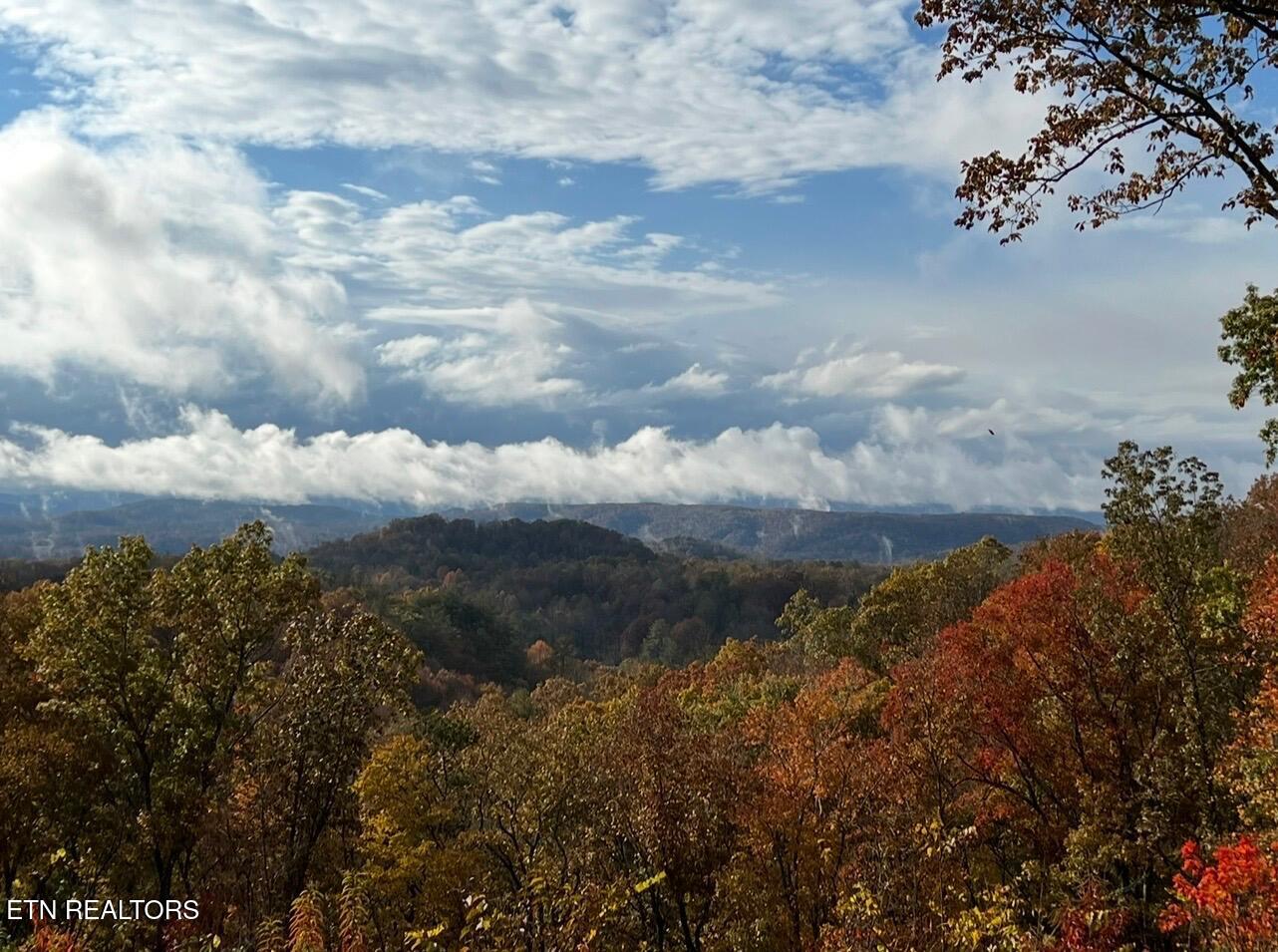 133 Hickory Flats Rd
