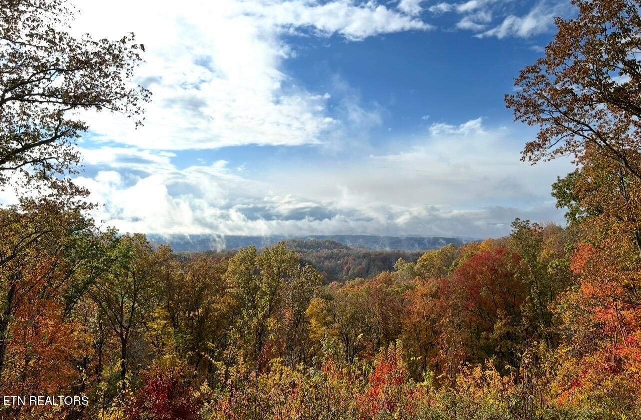 133 Hickory Flats Rd