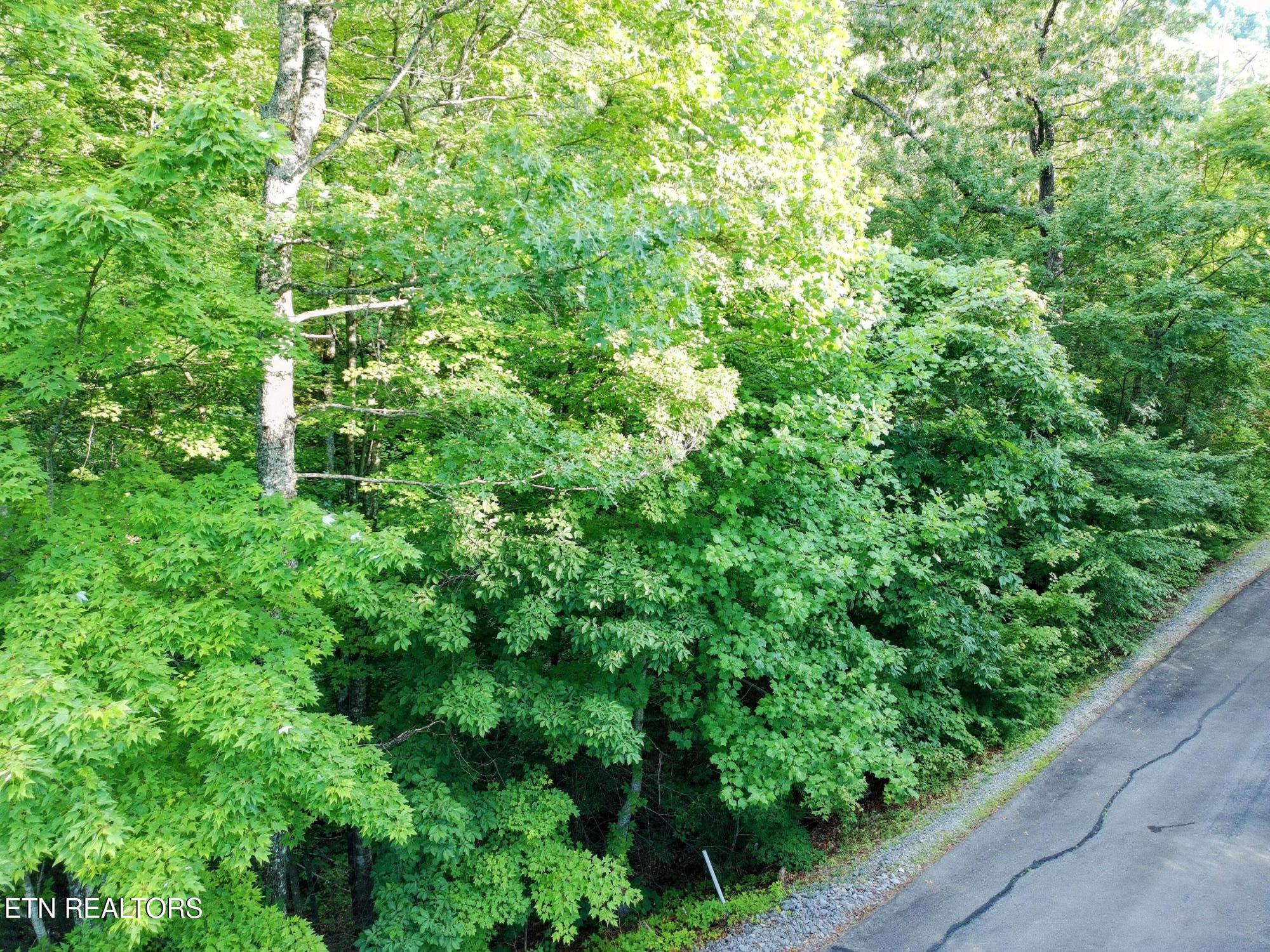 Buck Board Lane