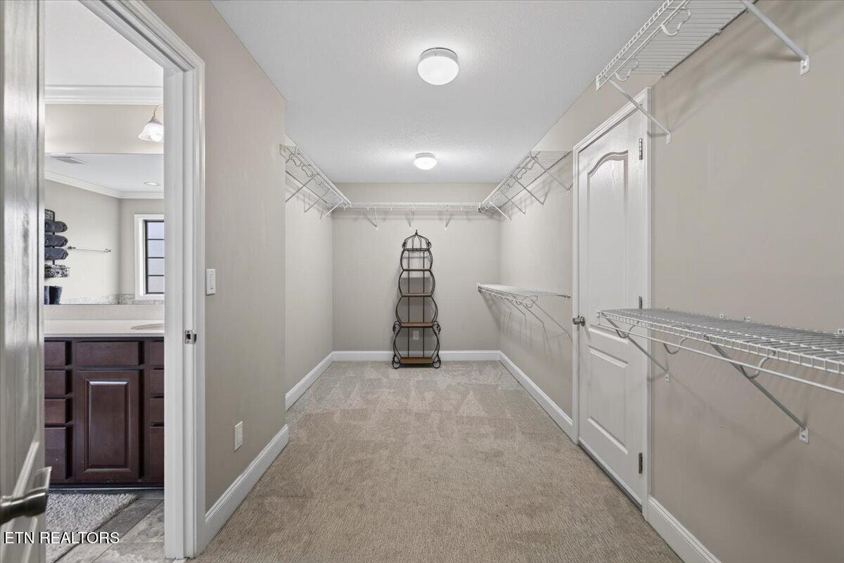 12325 Chirping Bird Lane