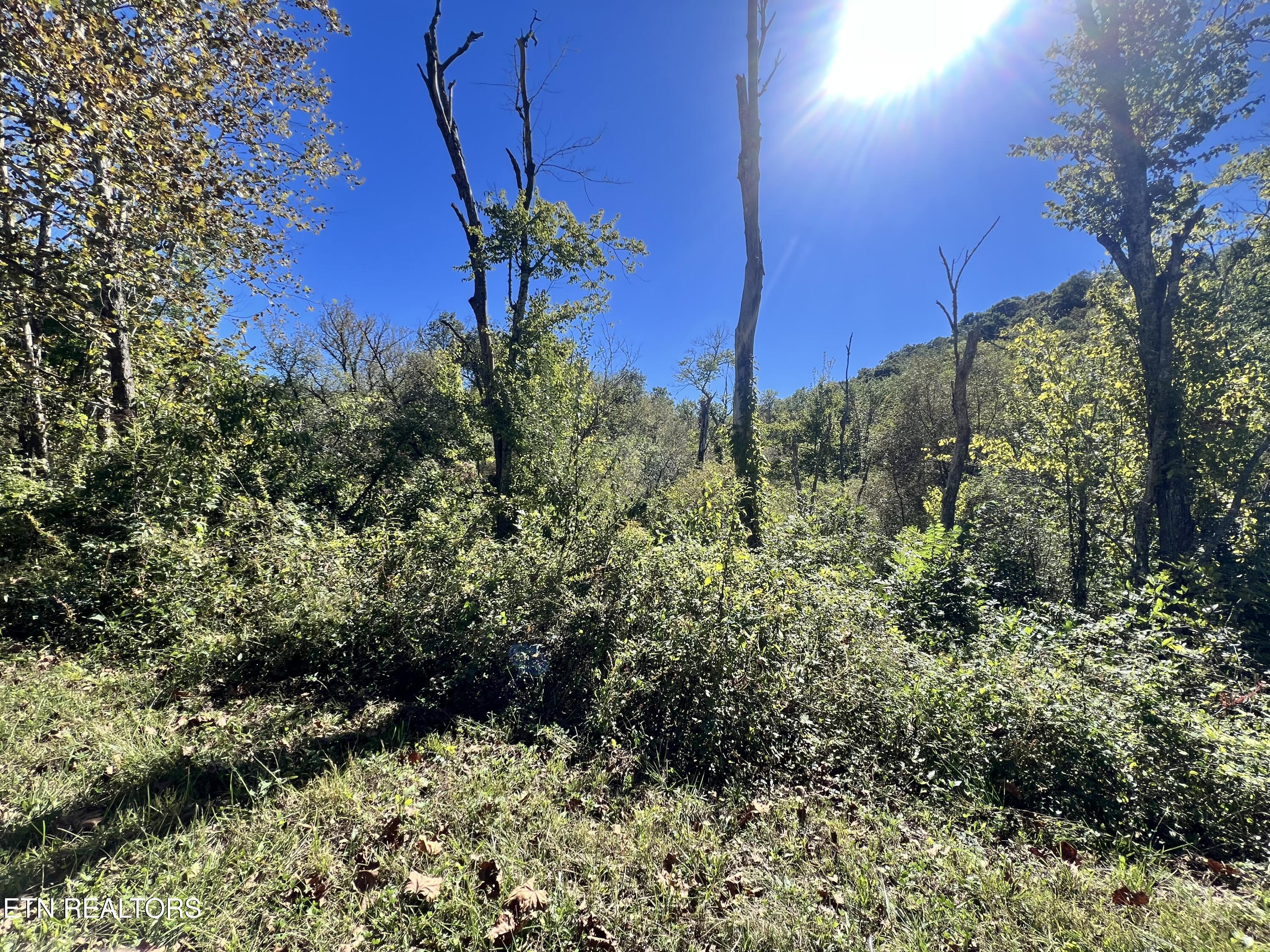 Paint Rock Buffalo Creek Rd