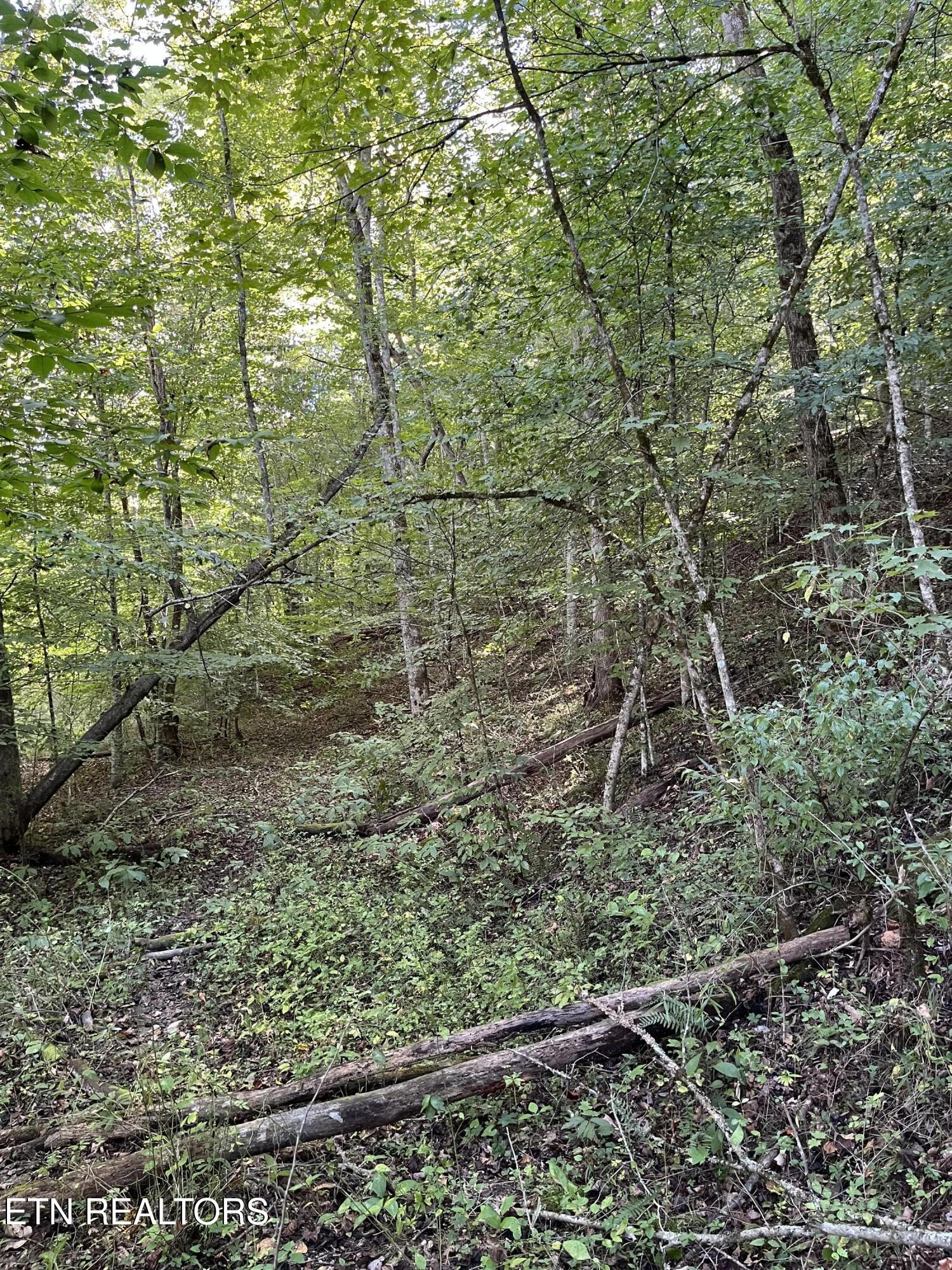 Paint Rock Buffalo Creek Rd