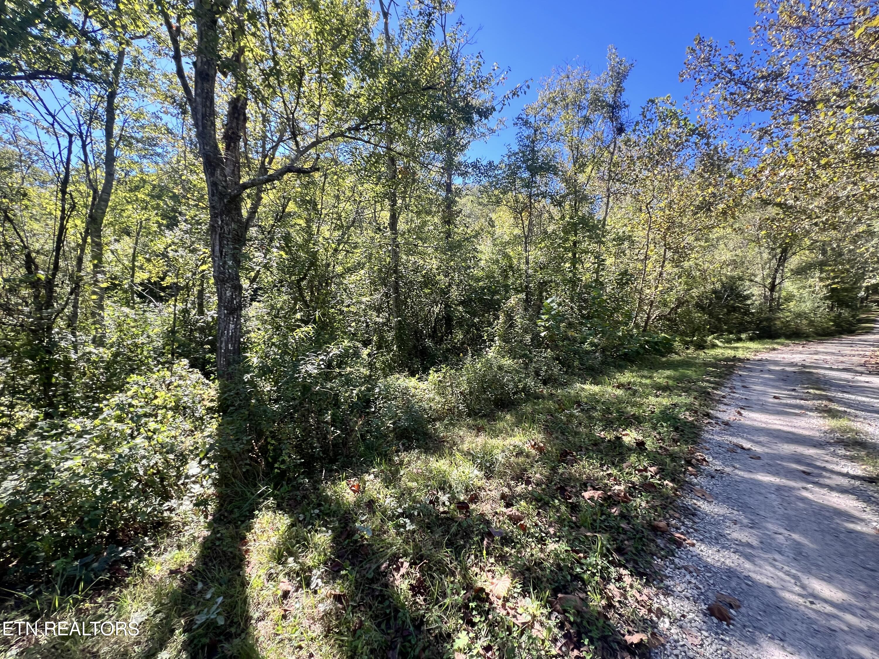Paint Rock Buffalo Creek Rd