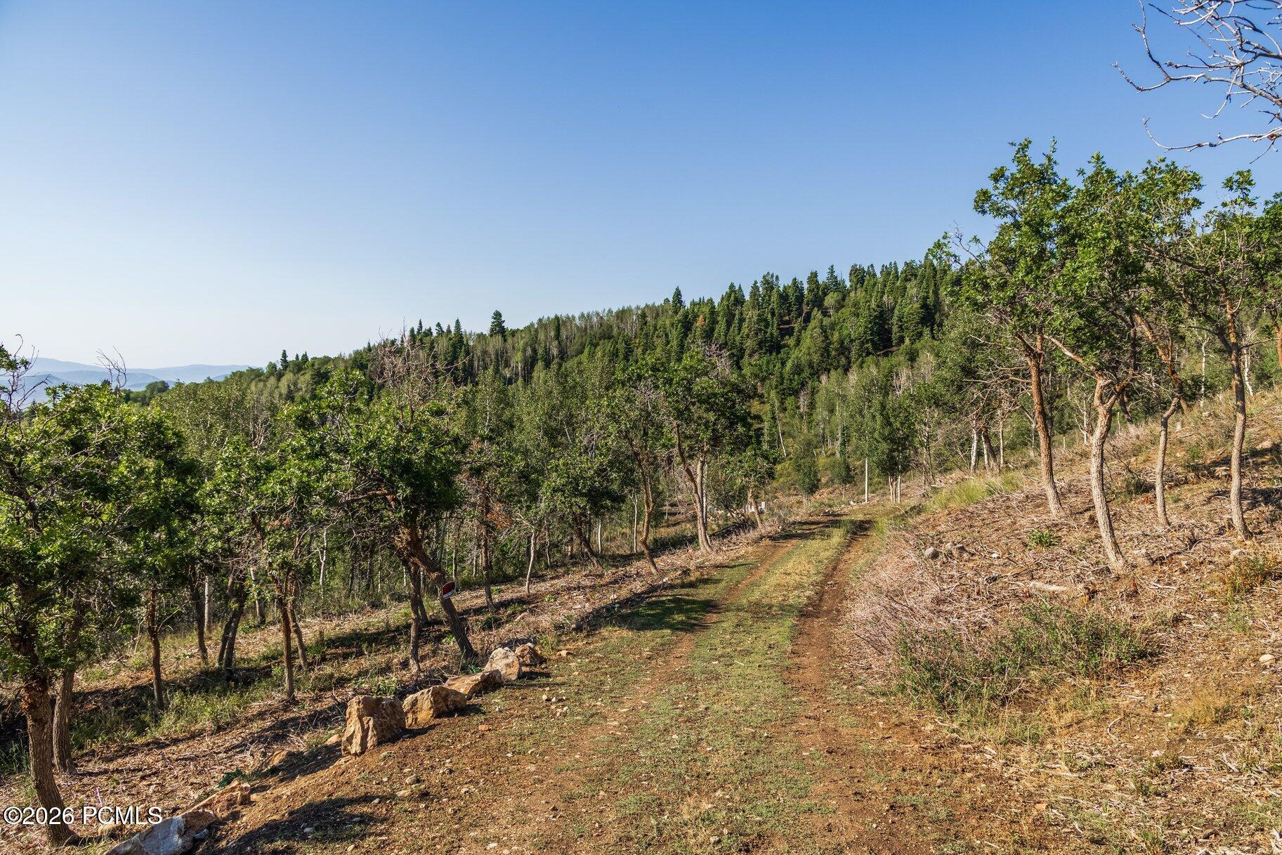 543 W Upper Cove Road 51