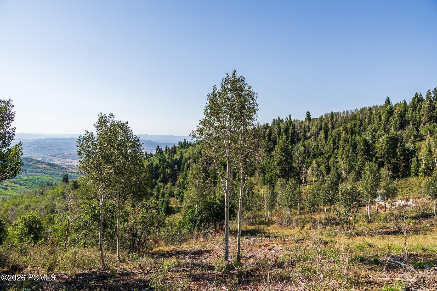 543 W Upper Cove Road 51