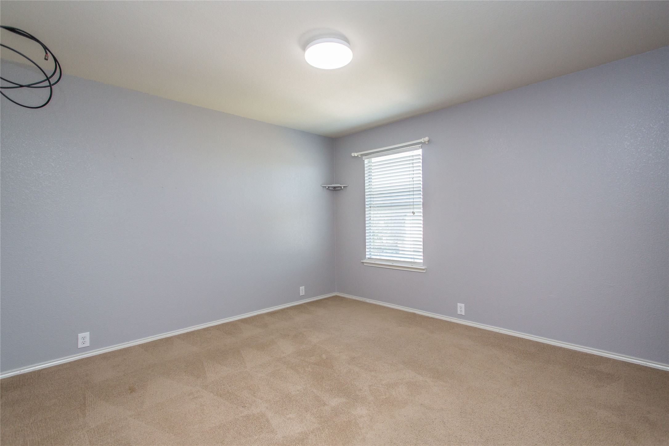 8733 King Ranch Drive