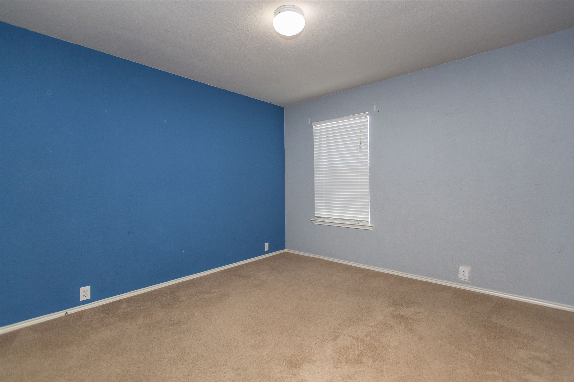 8733 King Ranch Drive
