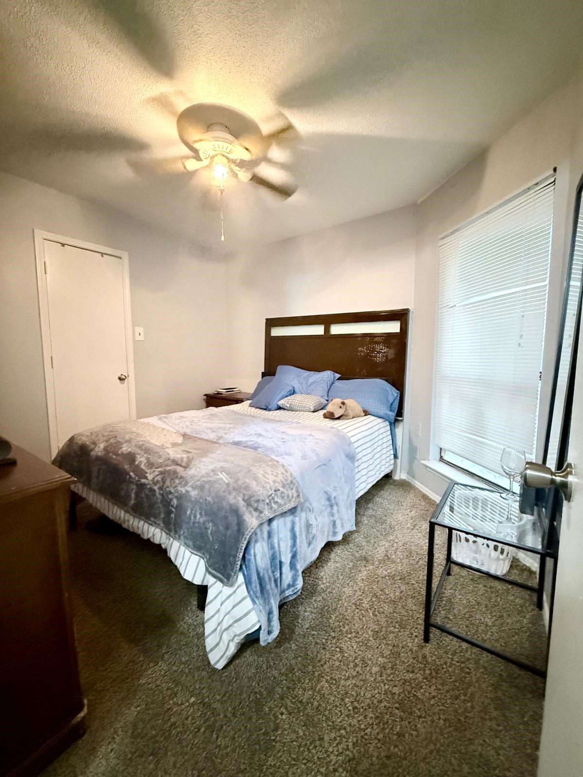 2608 Shasta Court