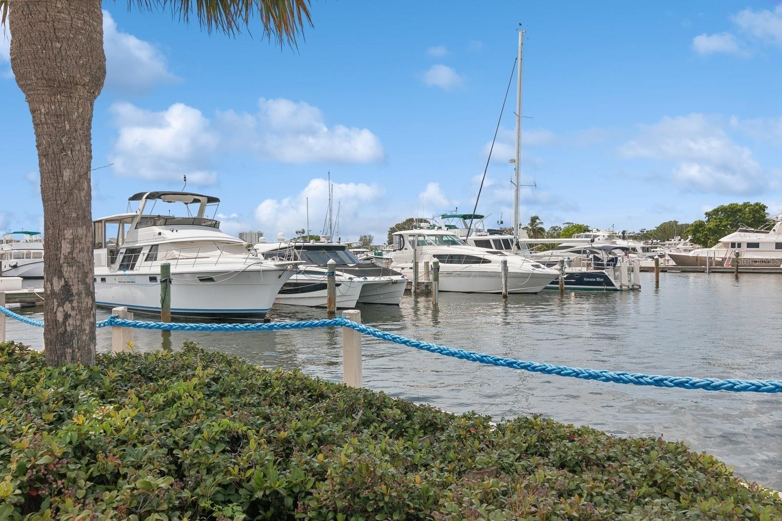 2600 HARBOURSIDE DR #Q5