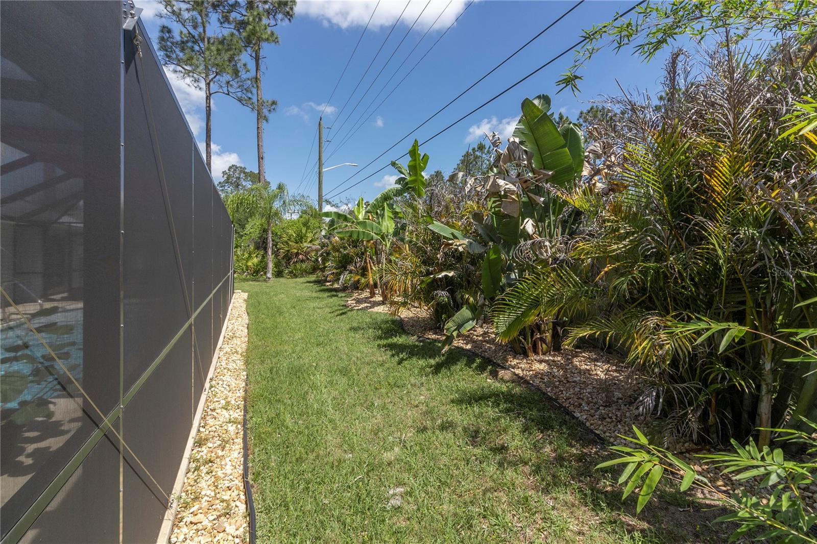 19 ZIRCON CT